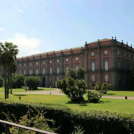 Linea1 * Naples